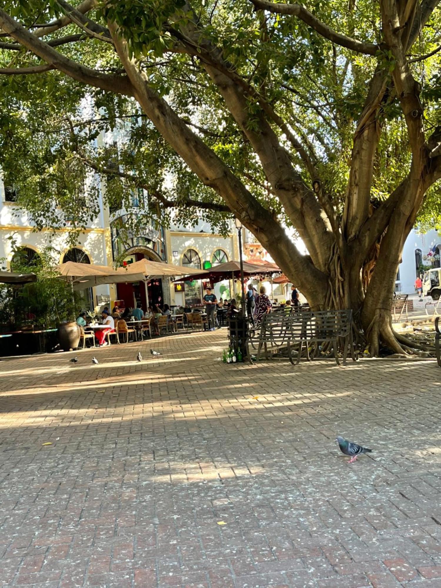 Studio 27 Colonial, Centro Historico サントドミンゴ エクステリア 写真
